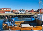 Morild 1