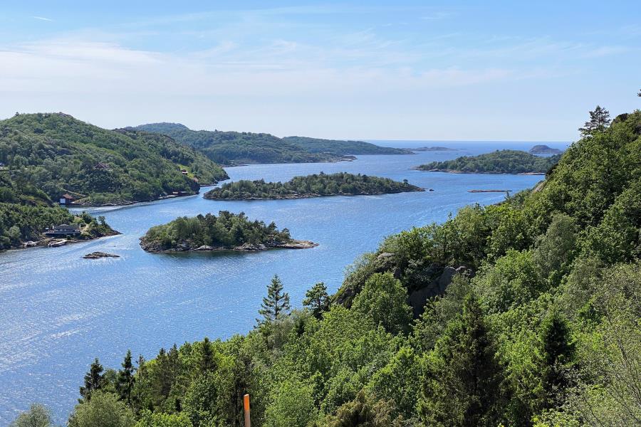 Lyngsvagfjorden