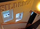 Sildebua