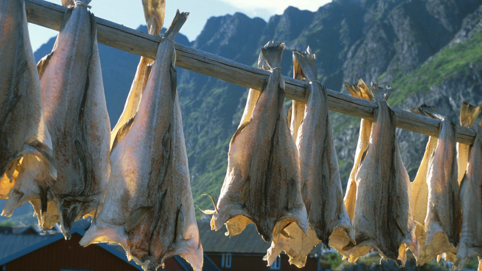 Trockenfisch