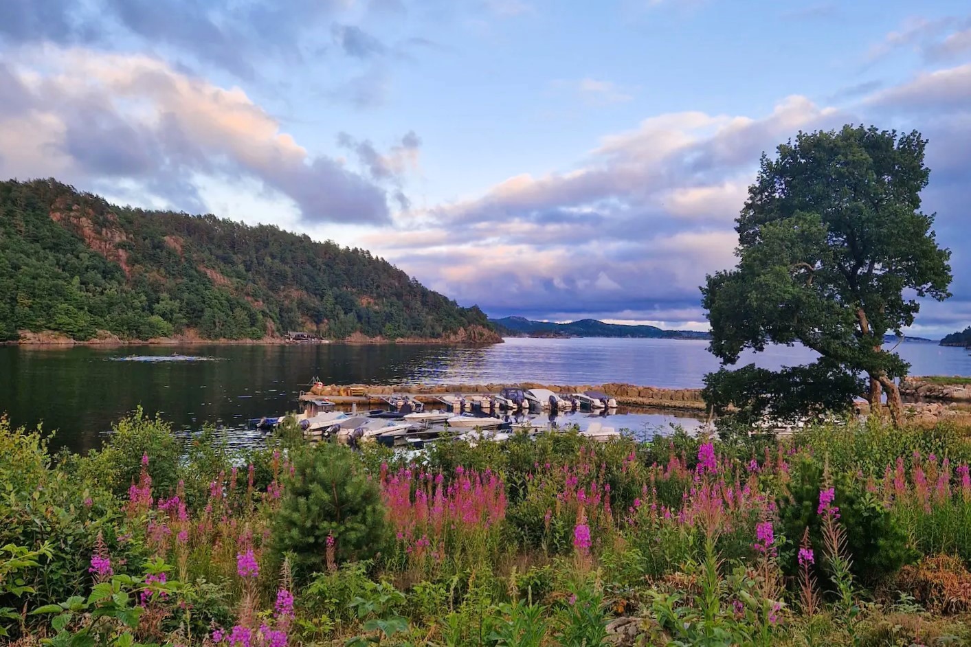 Kafjord Leila