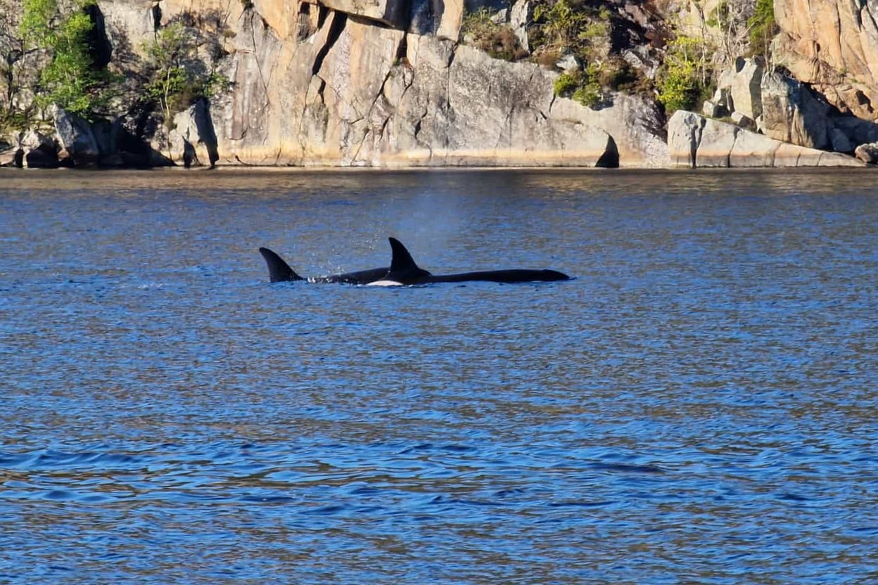 Farsund Nordstranda Fewo 3