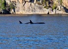 Farsund Nordstranda Fewo 3