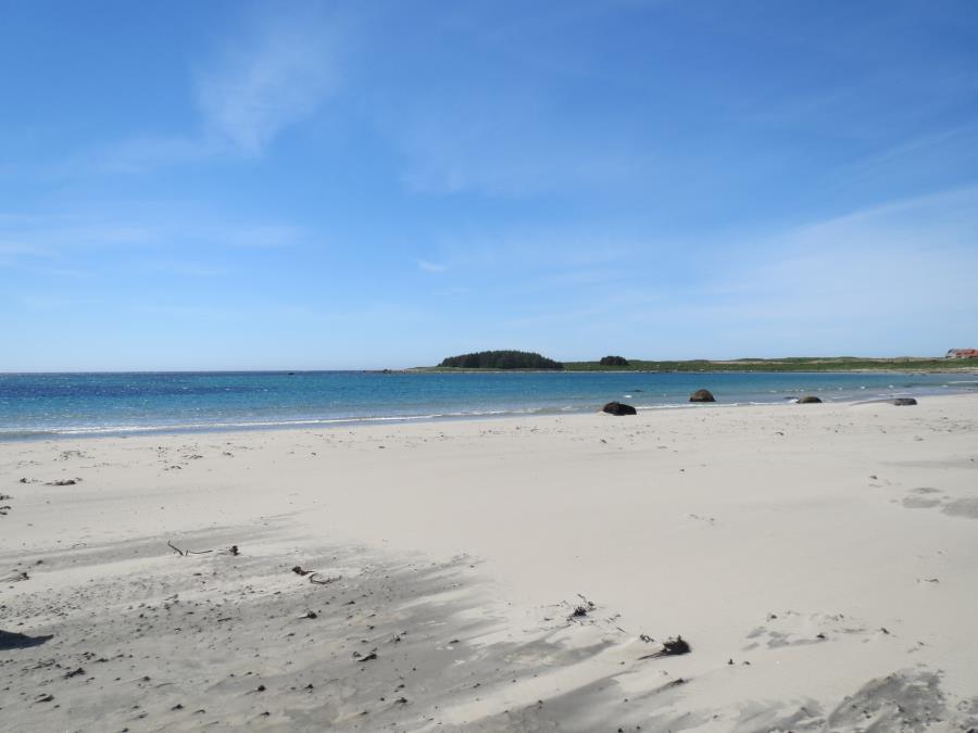 Morild 1