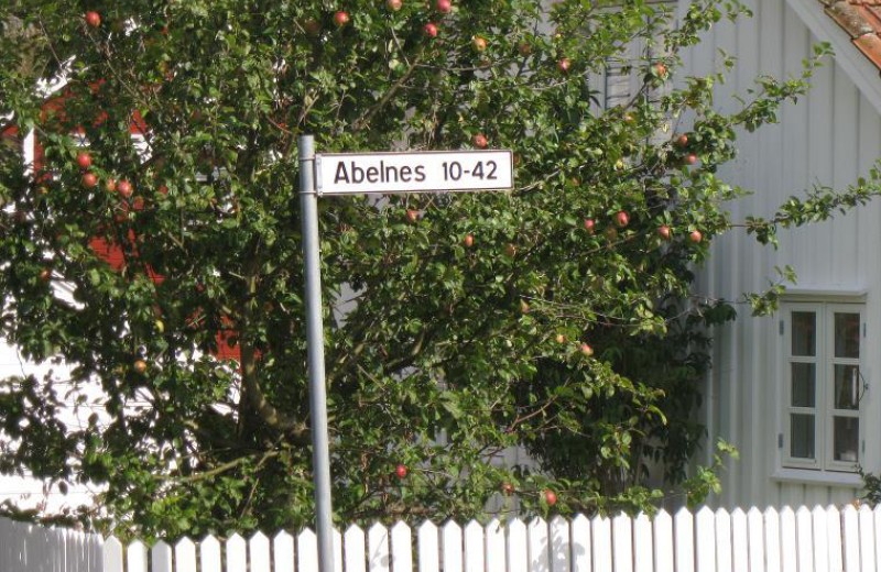 Skipevika Sjoehus