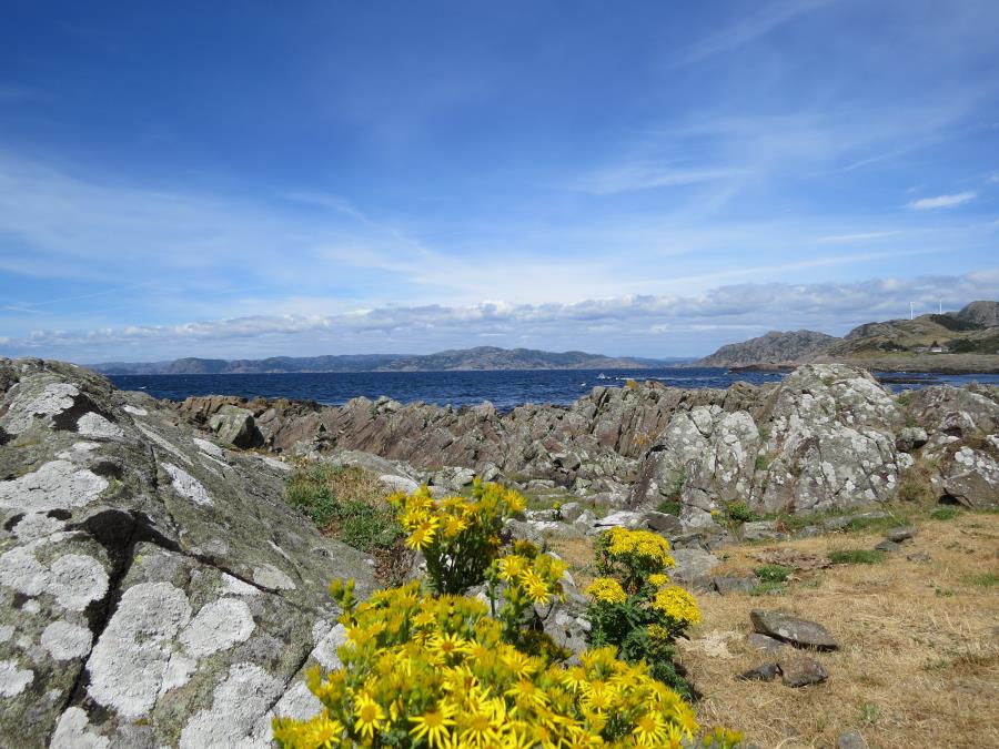 Morild 1