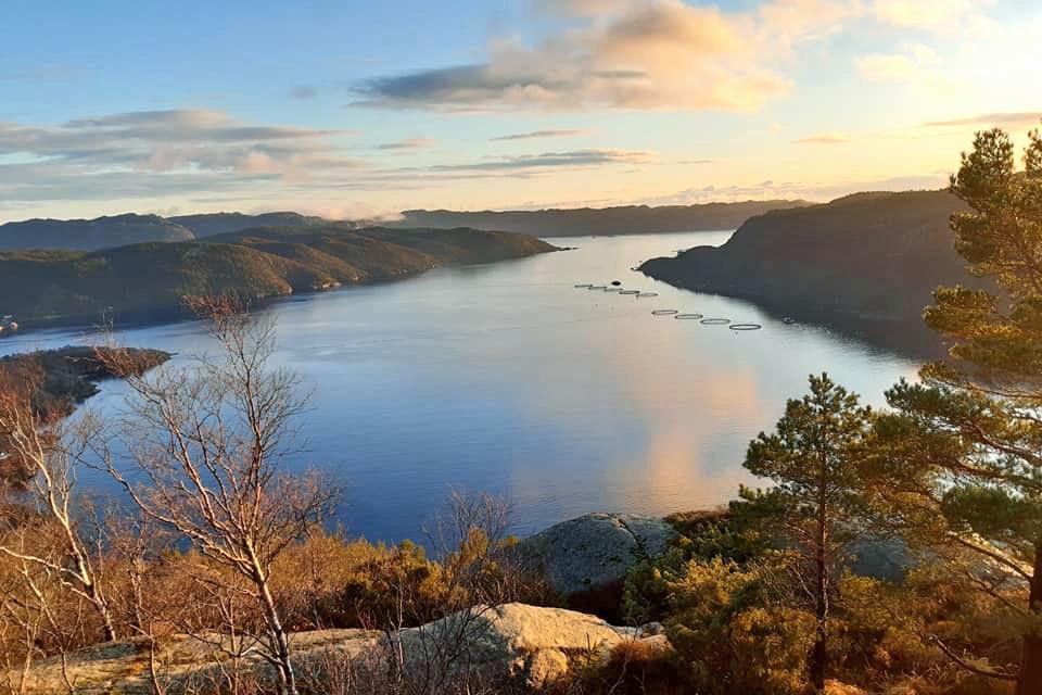 Blick auf den Stolsfjorden