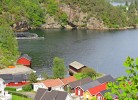 Fjellsa , Blubberblasenbucht