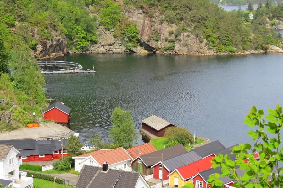 Blubberblasenbucht Fjellsa