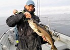 Furuholmen Brygge 33