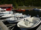Boot Nr. R: Angel- und Familienboot Hansvik Sport, 18 ft., 60 PS Benziner 