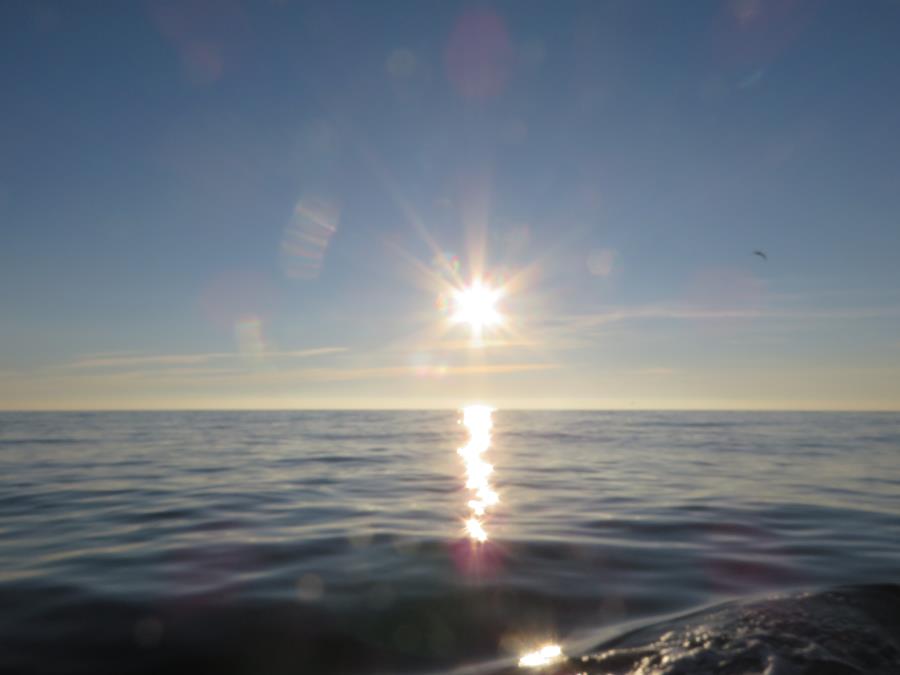 Morild 1