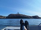 Angeln vor dem Leuchtturm