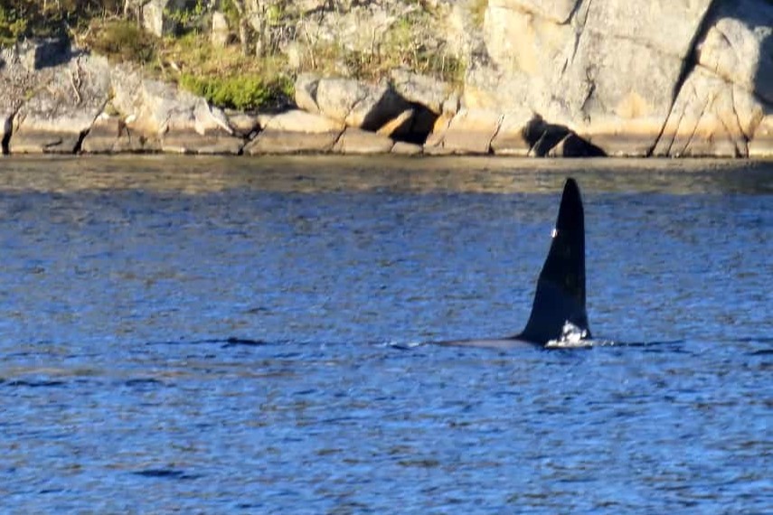 Farsund Nordstranda Fewo 2