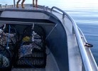 Extraboot Arronet 23.5 SP