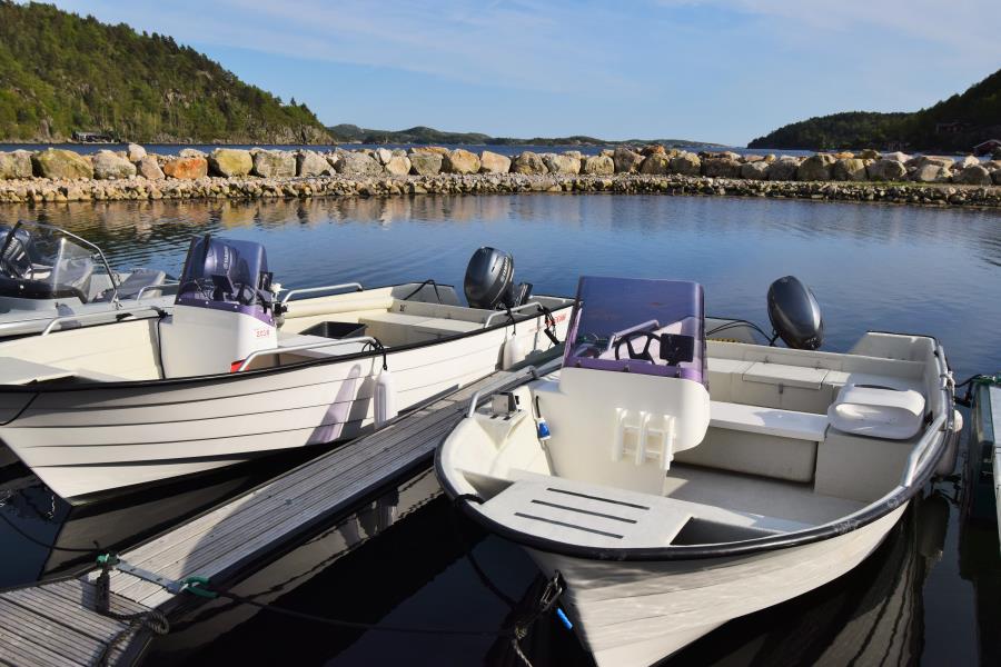 das Extraboot Oien 530 F, 40 PS, Plotter-Echolot