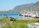 Barents Sea