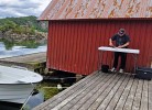 Njervesanden