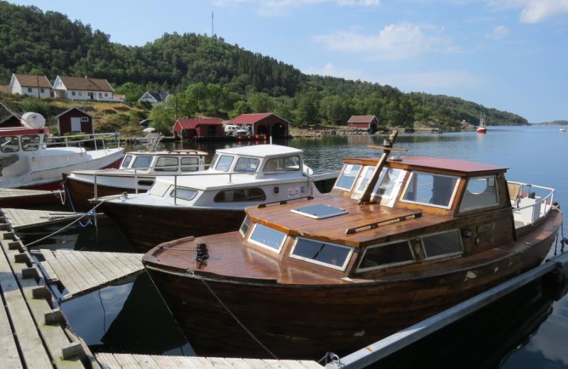 Fjordblikk