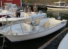 Fjordpanorama