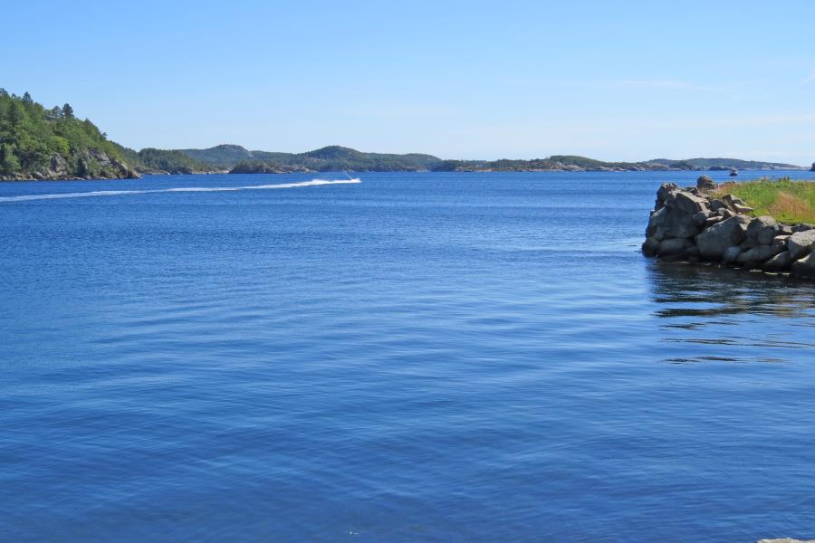 Fjord