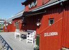 Sildebua