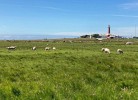 Havpanorama