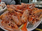 Seafood