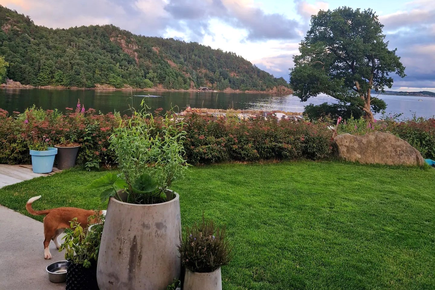 Kafjord Leila