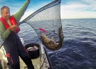 Boote zur Anlage Bjornevag