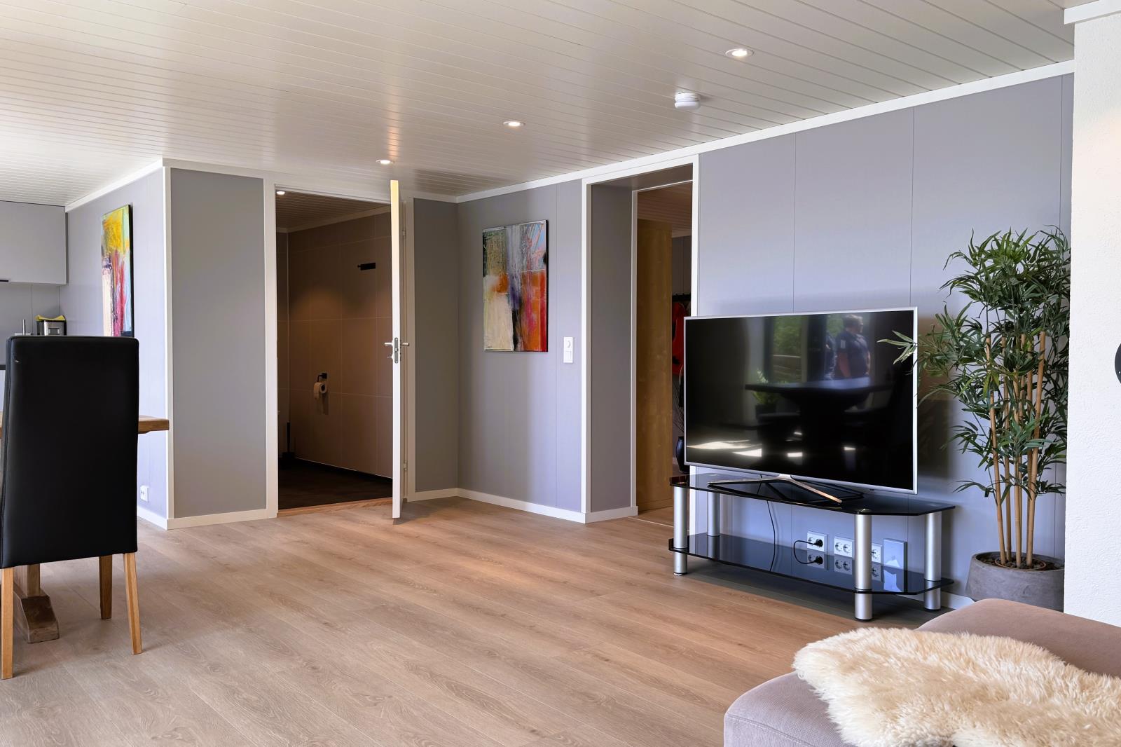 großer Smart TV