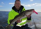 Sigersvoll am Eidsfjorden