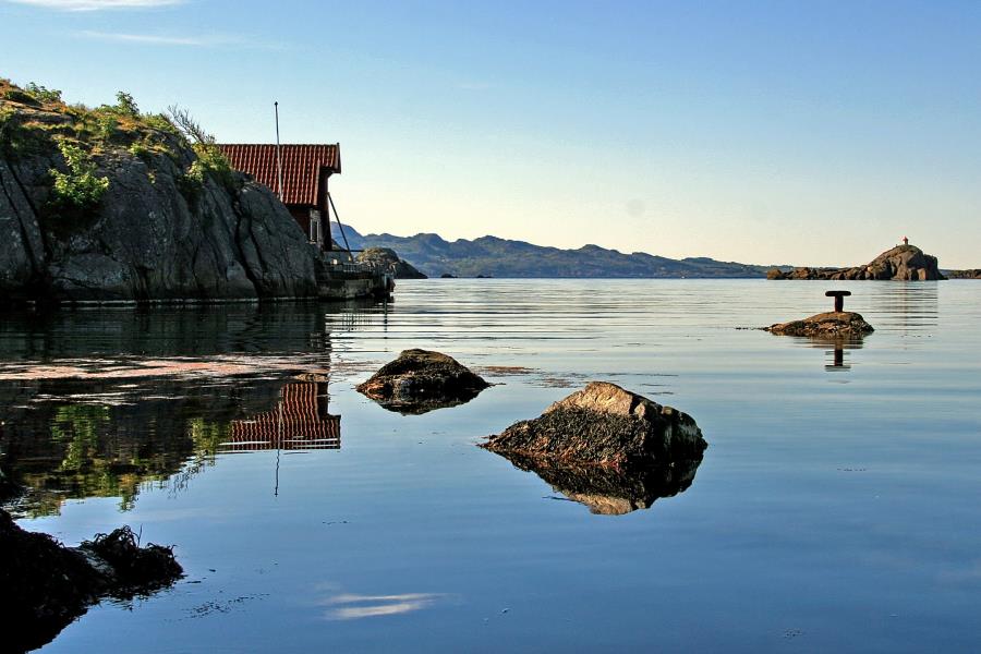Ole-Petter