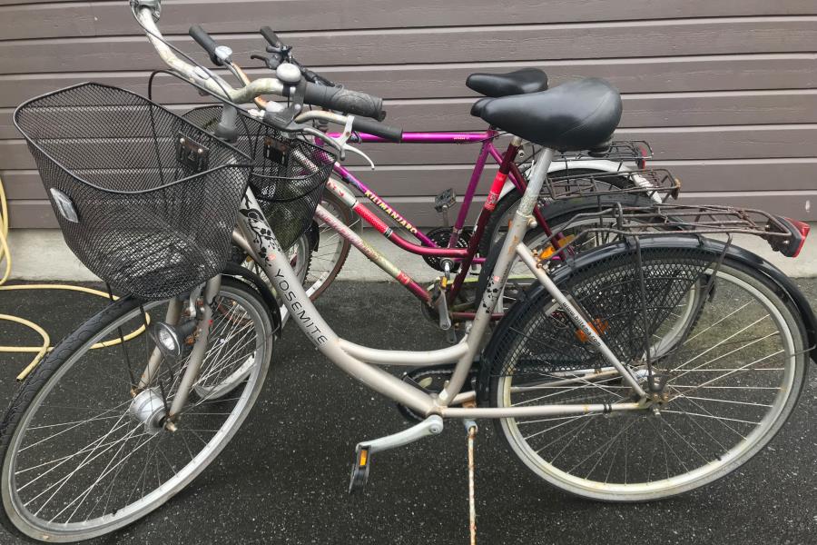 3 Fahrräder zur freien Verfügung