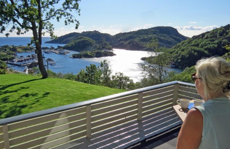 Blick von der Terrasse