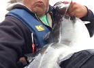 Fagerstrand 1