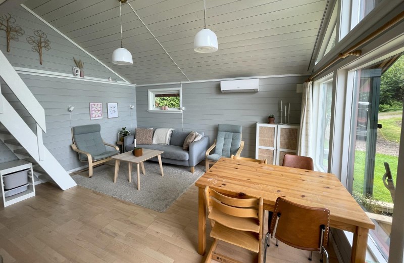 Steinfeda am Lenefjorden