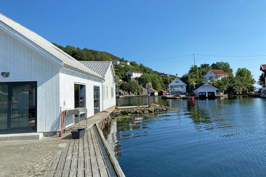 Ole-Petter