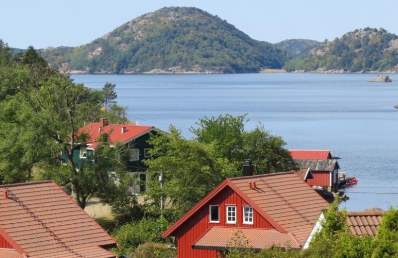 Fjordsyn