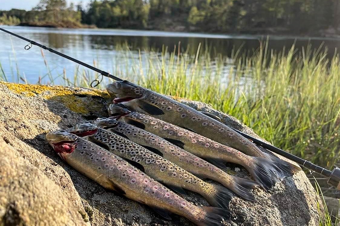 Mit einer Tageskarte in den umliegenden Süsswasser-Seen fischen