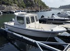 Ferienhaus Monas Lussevika, hier das KMietboot G620, 60 PS