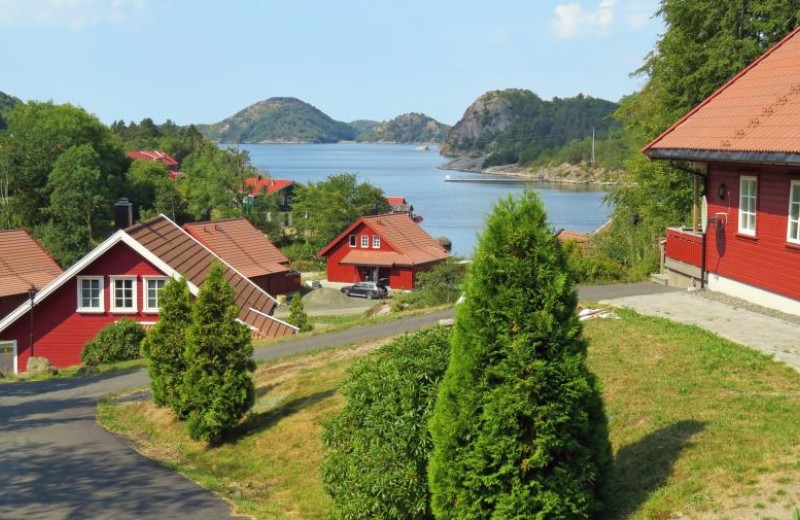 Fjordsyn