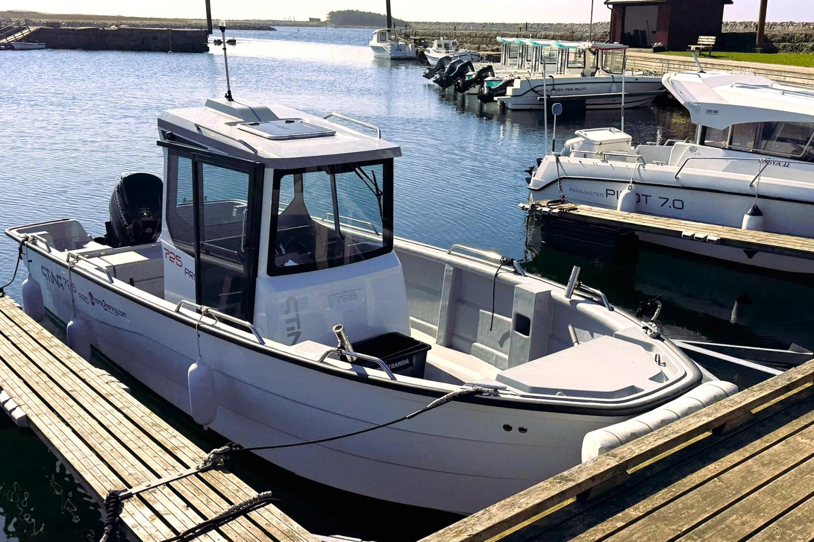 Boot Sting 725 Pro, 24 ft., 115 PS, in der Saison inklusive
