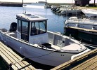 Boot Sting 725 Pro, 24 ft., 115 PS, in der Saison inklusive