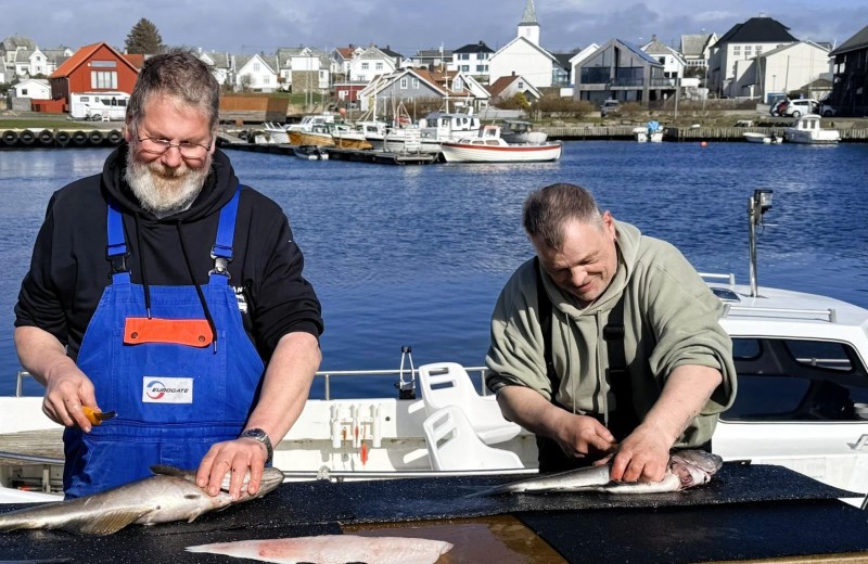 Filetierplatz am Boot