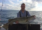 Skipper Arian