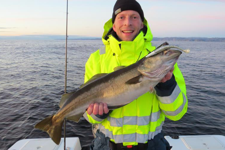 Skipevika Sjoehus