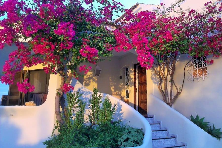 Casa Joia