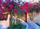 Casa Joia
