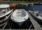 Boot Nr. L: Angel- und Familienboot 18 ft. Askeladden 